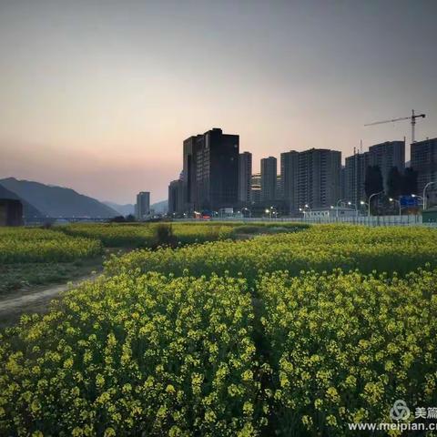 新安江路边小景，你看到过吗？