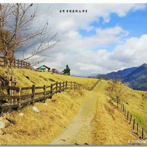 参赛投稿～台湾自由行  高山草原的清境农场