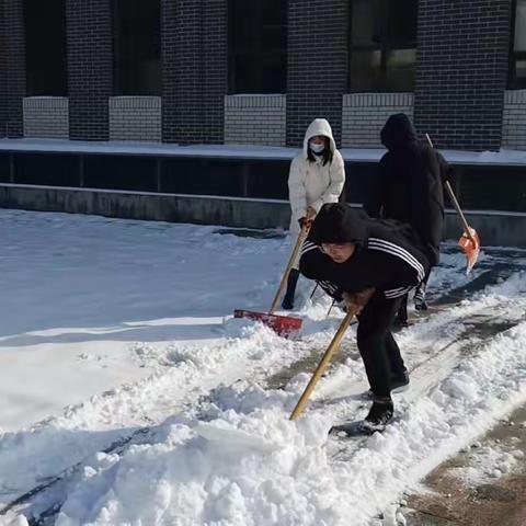 扫雪除冰护安全——太原市37附小&南海小学扫雪记