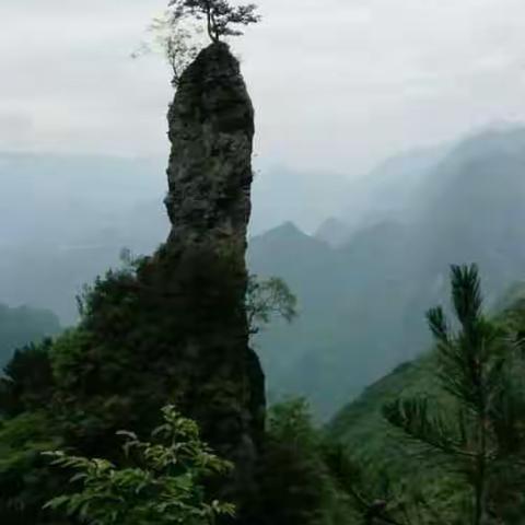 散记之空山野语