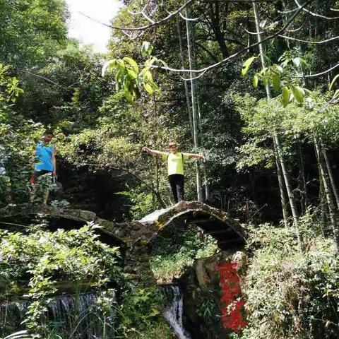 布衣山谷野炊之趣