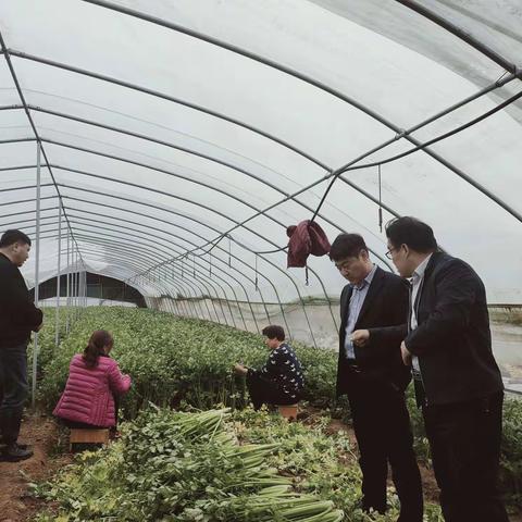 扶贫基地倒茬忙    产业振兴促发展