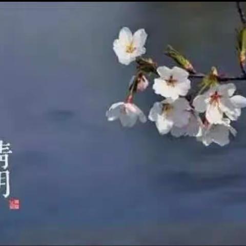 清明，这般厚重——修武县第三实验小学“致敬英雄的你"线上清明节主题教育活动纪实