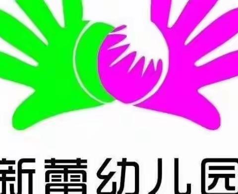 【匠心传承，锐变成长】——新密市袁庄乡新蕾幼儿园教师专业知识培训