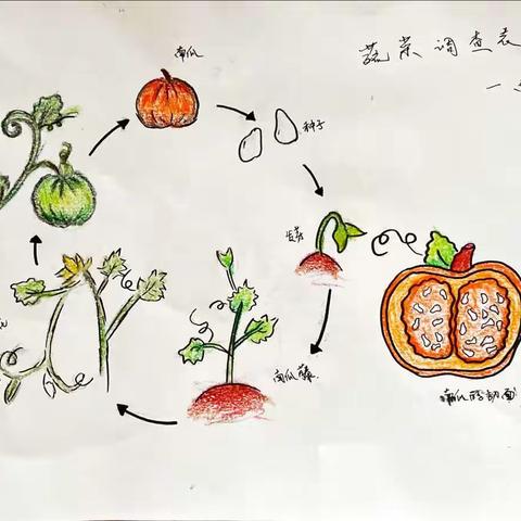 我的种植指南