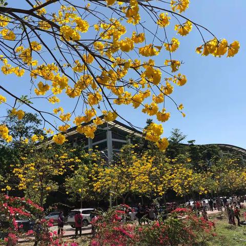 走近广州（2018年3月华南农业大学）