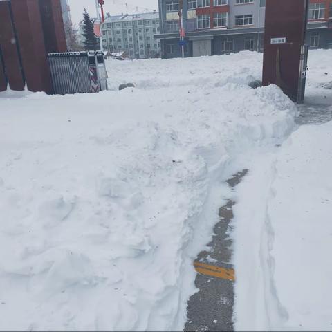 银装素裹扮校园，凝心除雪暖人心——密山市八五七学校清雪纪实