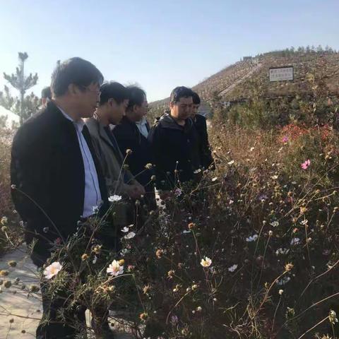 国家林产工业规划设计院检查组及省林业厅来我县检查2017年林业改革发展资金绩效评价工作