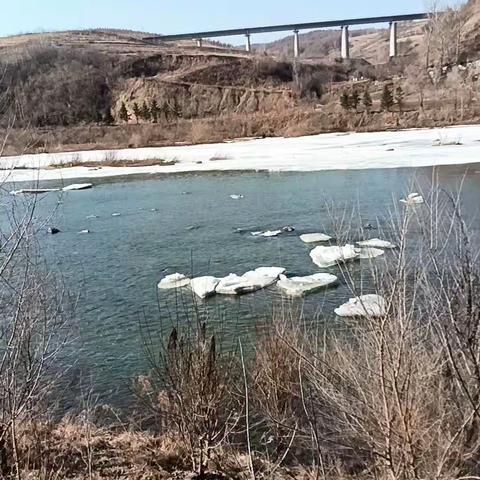 冰雪消融 ，春光明睸。赶紧起床，去江边收获一份好心情吧！