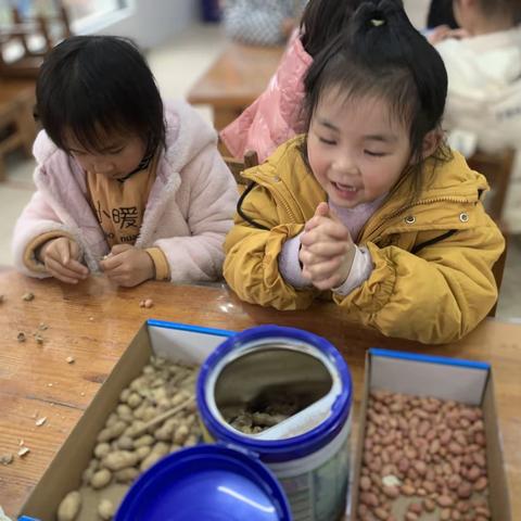 巧手剥花生——小豆豆大四班