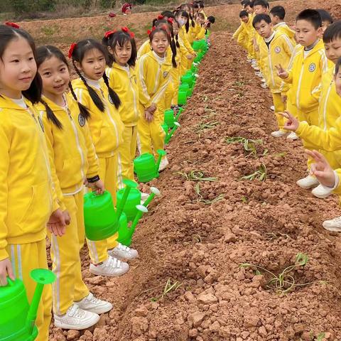 向阳6班“亲近自然，拥抱春天”研学之旅