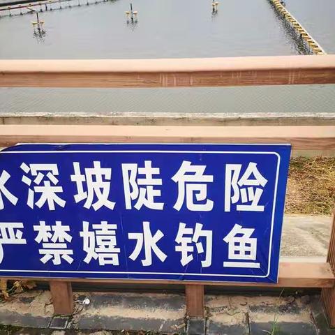 督查专报（总第八十九期）