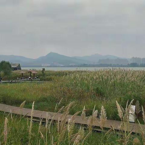 国庆七十华诞/我们开心🌙湾湿地公园