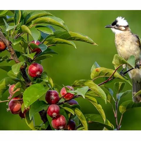 我们的朋友（二十）