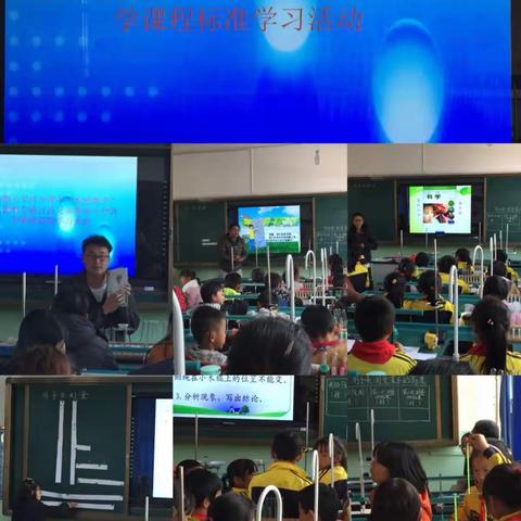倡导探究性学习 用学生的思维观察小街镇中心学校组织小学科学课标学习及实验教学研讨活动