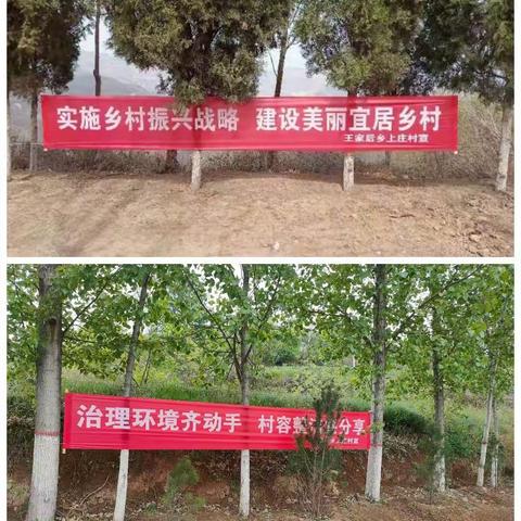 上庄村持续开展”净起来”、”绿起来”行动