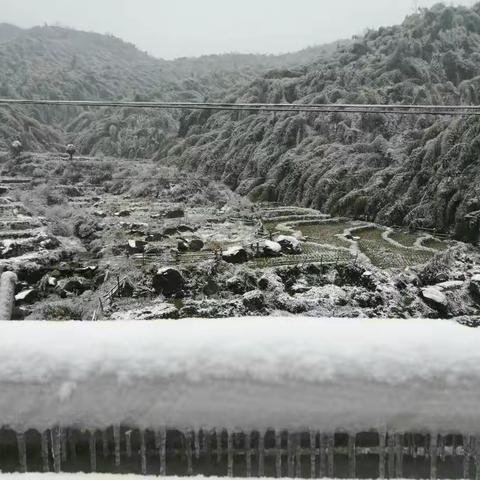 应对雨雪冰冻天气，店下镇在行动