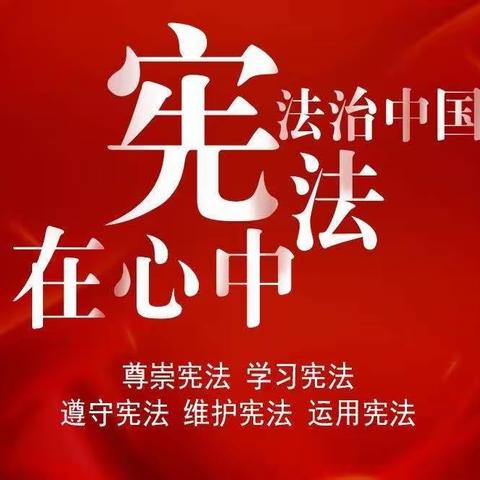 《宪法在我心中》  云大附中2023届初二年级 实践活动展示（一）