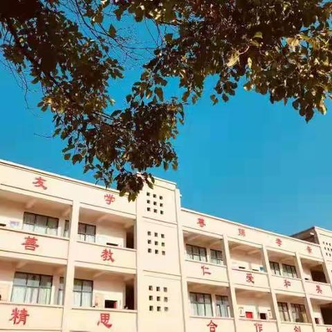 县教育体育局李局长来晏河一小检查指导工作