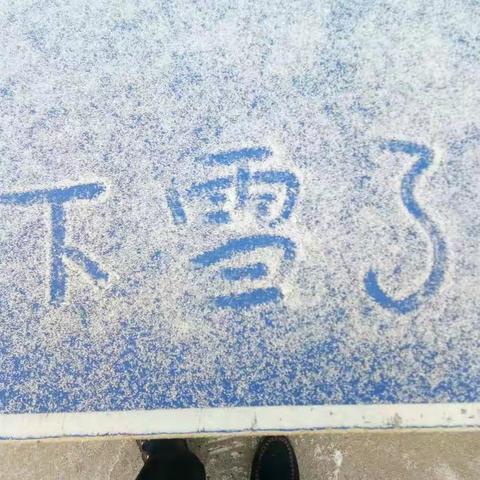 认真的雪