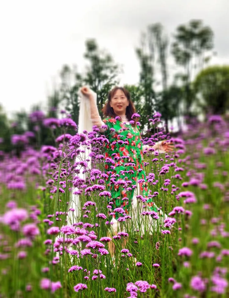 5.27瓮安花海一日游