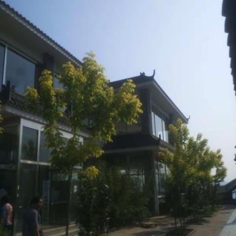 参加樱桃节活动