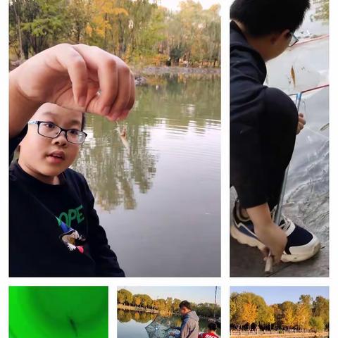 秋日公园随拍并配自书散曲小令及絮语