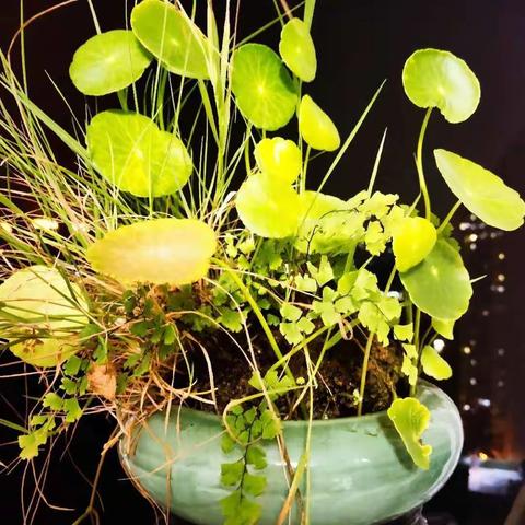 山湖堂主的美篇