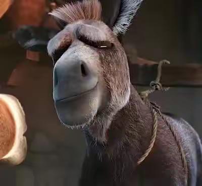 在东北那嘎达最逗人的土话有哪些