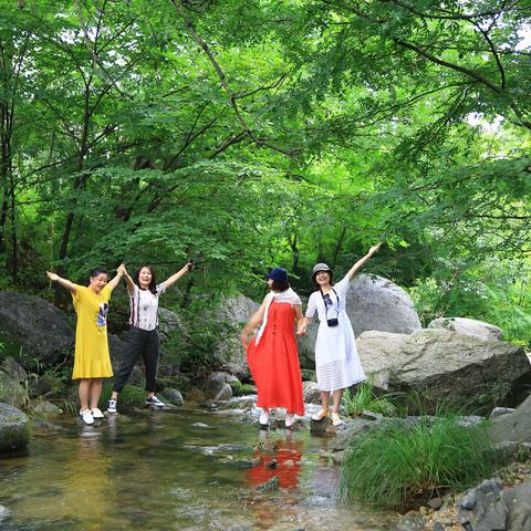 一帘新雨☔️后，与你遇仲夏