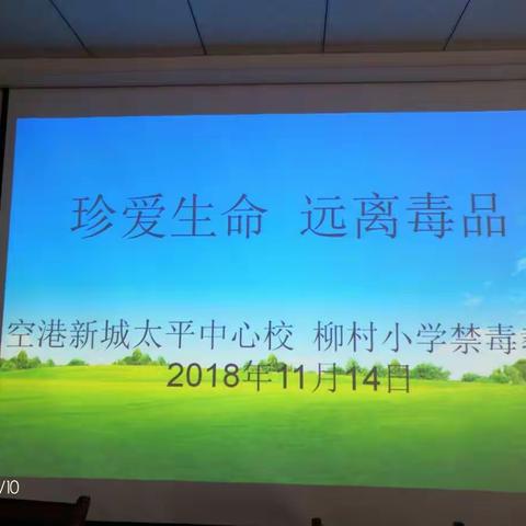 “珍爱生命，远离毒品”空港新城太平中心校柳村小学禁毒宣传教育活动