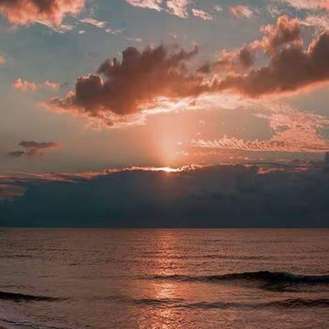 好书推荐——《彷徨》