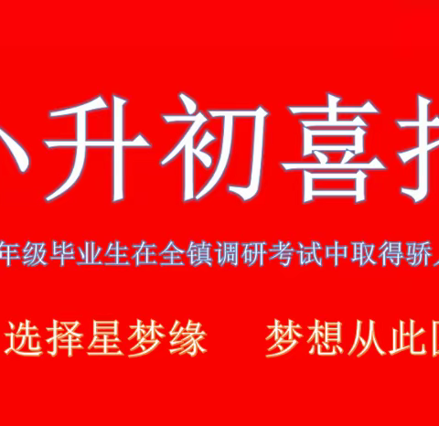 辛勤耕耘硕果满  录取喜报佳音传