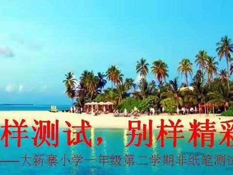 别样测试，别样精彩——大新寨小学一年级第二学期非纸笔测试