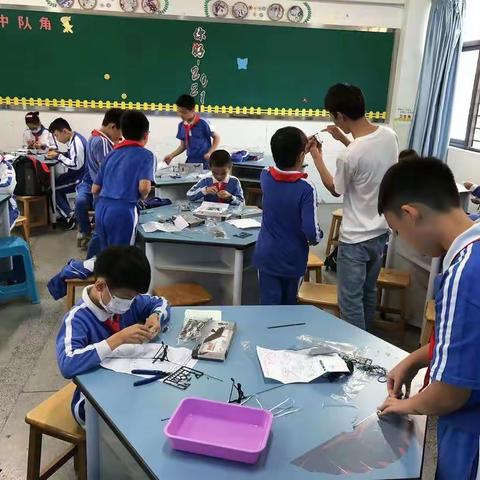 布心小学2021~2022学年第一学期科学四模社团展播