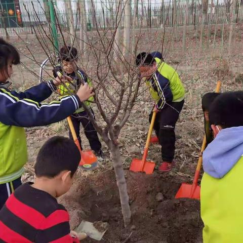 鄚州一铺中心学校“播一片绿林，种一份爱心”植树节活动