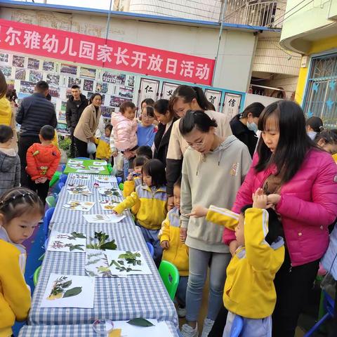 贝尔雅西庄幼儿园家长半日开放活动