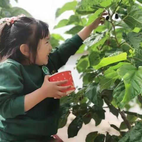 丽水星光幼儿园五一劳动节放假通知及温馨提示❤