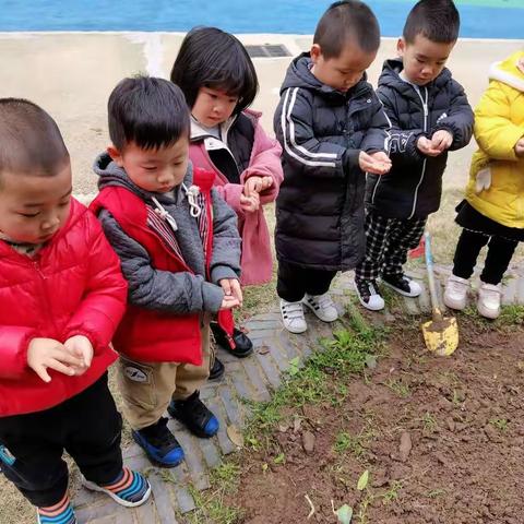 “苗苗食荟”系列—缤纷水果捞。