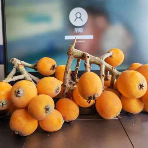 又到一年枇杷季