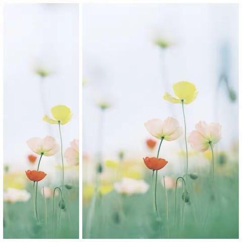 我的暑假生活记录，二（4）班 赵子瑞