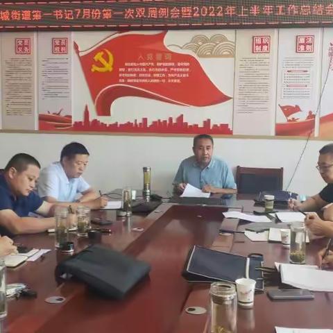 县派州城街道第一书记临时党支部召开7月份第一次双周例会暨2022年上半年工作总结会