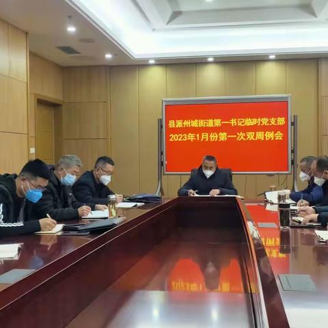 县派州城街道第一书记临时党支部召开2023年1月份第一次双周例会