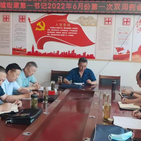 县派州城街道第一书记临时党支部召开6月份一次双周例会