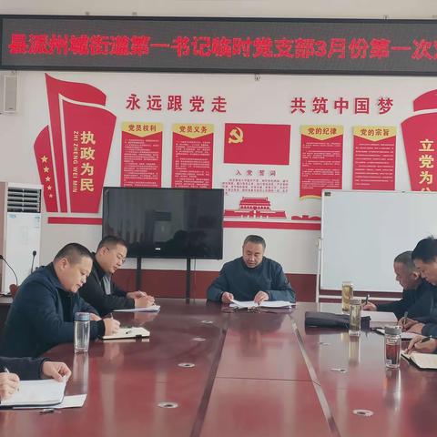 县派州城街道第一书记临时党支部召开3月份第一次双周例会