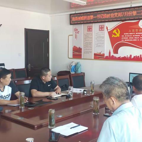 县派州城街道第一书记临时党支部召开7月份第二次双周例会暨收看第25期公开课