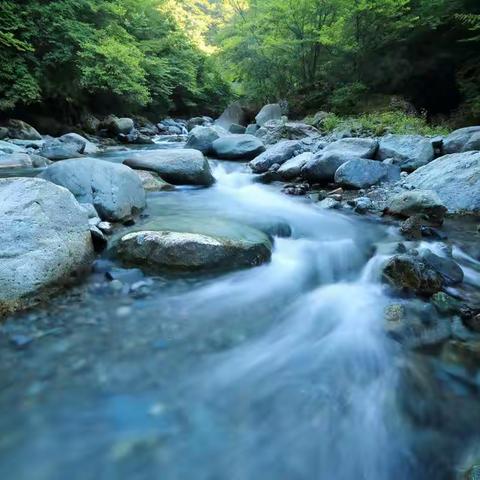 水一一孤藤老树昏鸦，小桥流水人家！