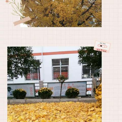 停课不停学，我们在行动——伏家镇中心小学四四班语文线上教学缩影