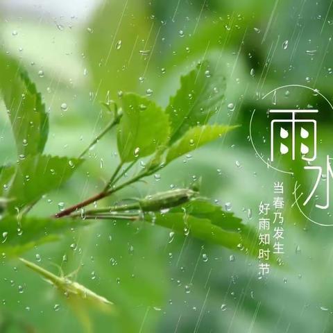 【班本课程】“雨水迎春天，节气伴雨来”——桐峪镇中心幼儿园中班雨水节气活动