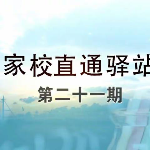 科区实验小学东校区